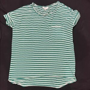 Umgee Green and White Striped Top